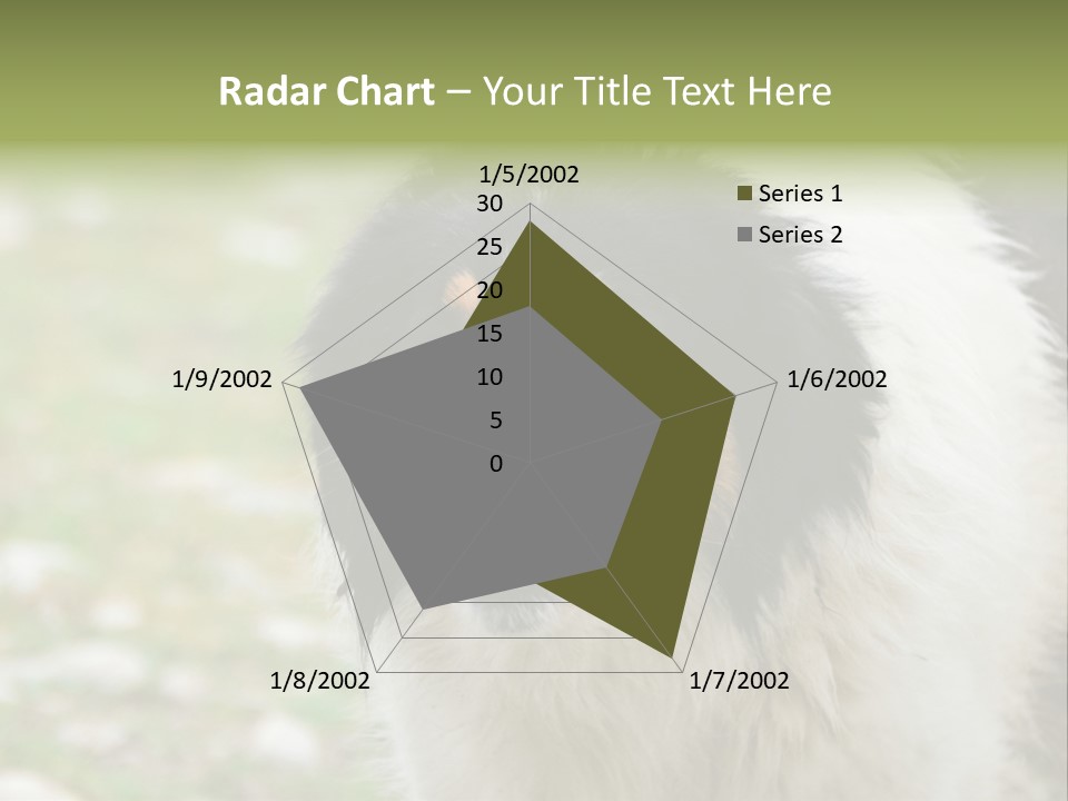 A Black And White Dog With His Mouth Open PowerPoint Template