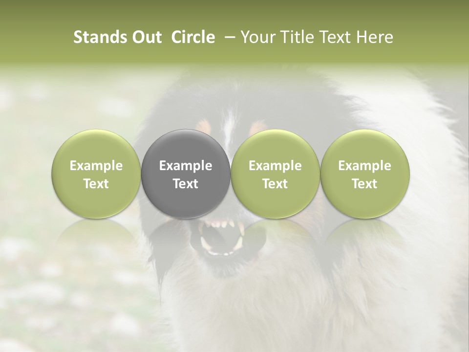 A Black And White Dog With His Mouth Open PowerPoint Template