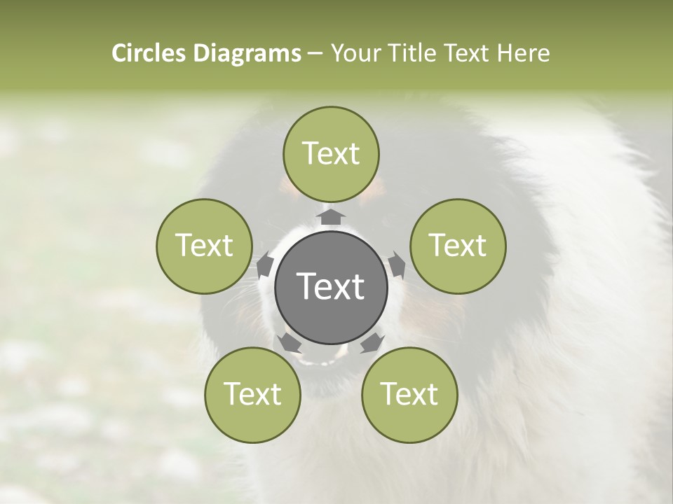 A Black And White Dog With His Mouth Open PowerPoint Template