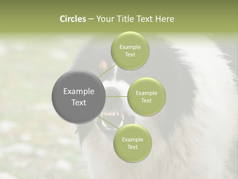 A Black And White Dog With His Mouth Open PowerPoint Template