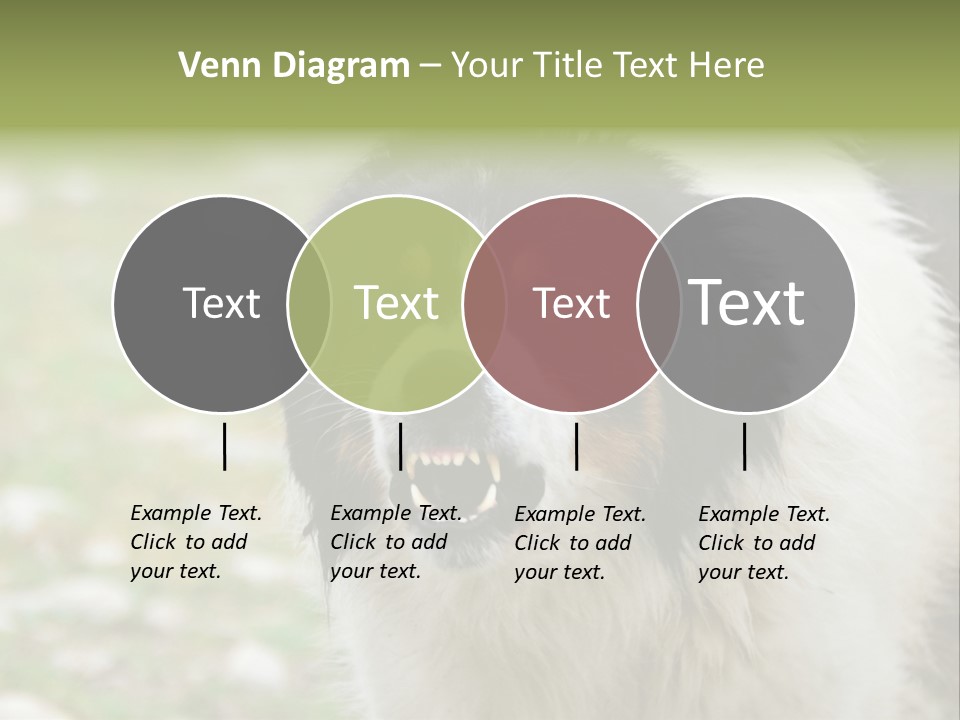 A Black And White Dog With His Mouth Open PowerPoint Template