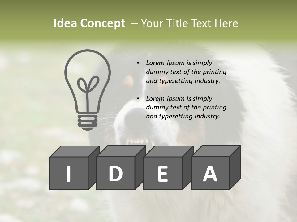 A Black And White Dog With His Mouth Open PowerPoint Template