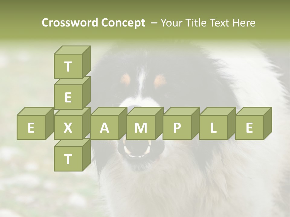 A Black And White Dog With His Mouth Open PowerPoint Template