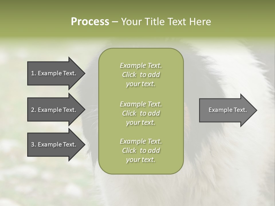 A Black And White Dog With His Mouth Open PowerPoint Template