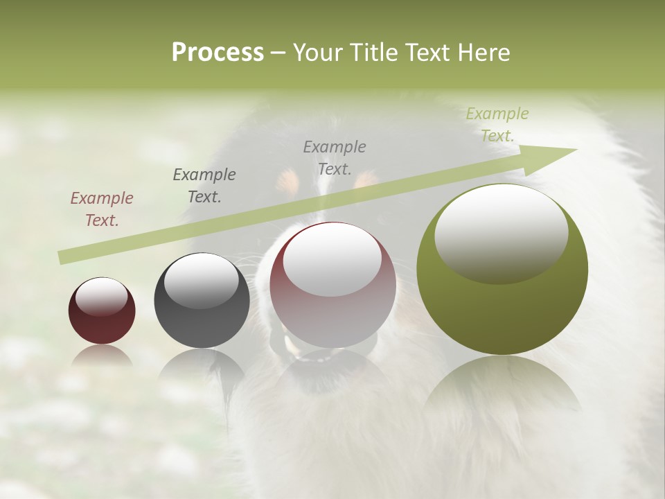 A Black And White Dog With His Mouth Open PowerPoint Template