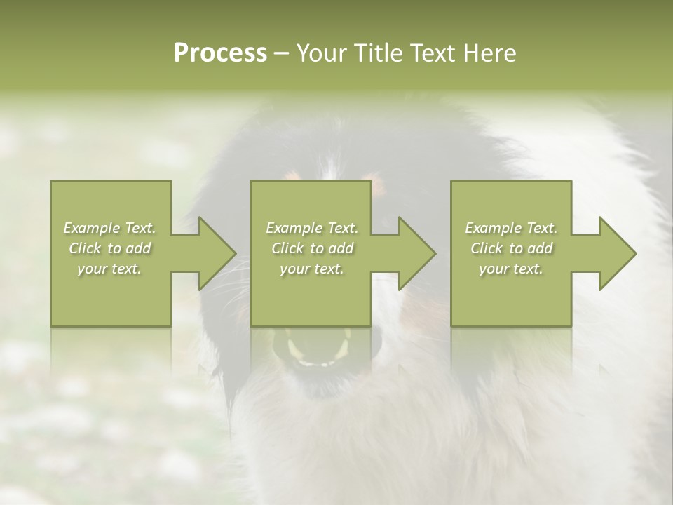 A Black And White Dog With His Mouth Open PowerPoint Template