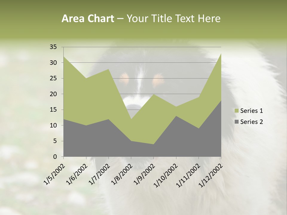 A Black And White Dog With His Mouth Open PowerPoint Template