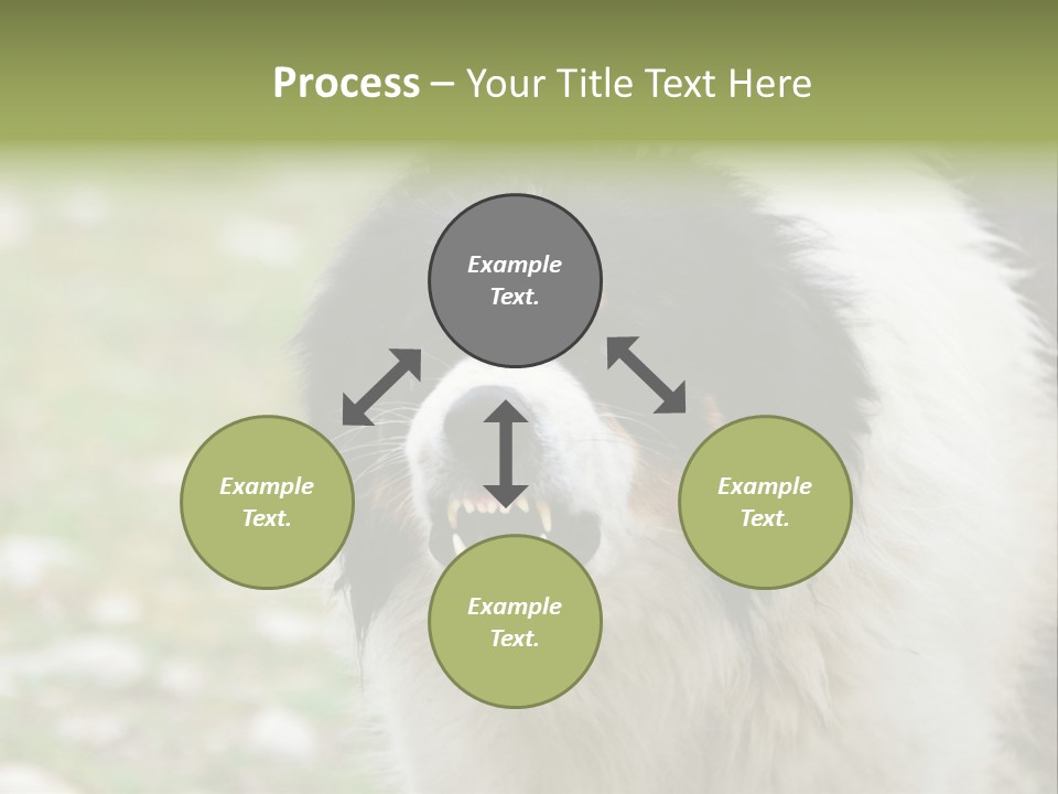 A Black And White Dog With His Mouth Open PowerPoint Template