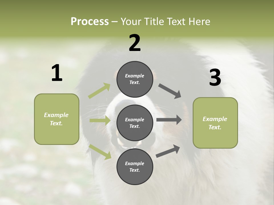 A Black And White Dog With His Mouth Open PowerPoint Template