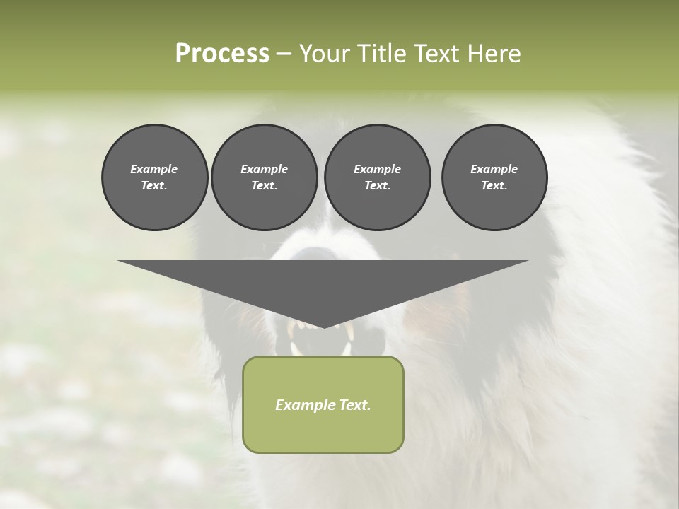A Black And White Dog With His Mouth Open PowerPoint Template