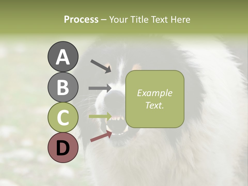 A Black And White Dog With His Mouth Open PowerPoint Template