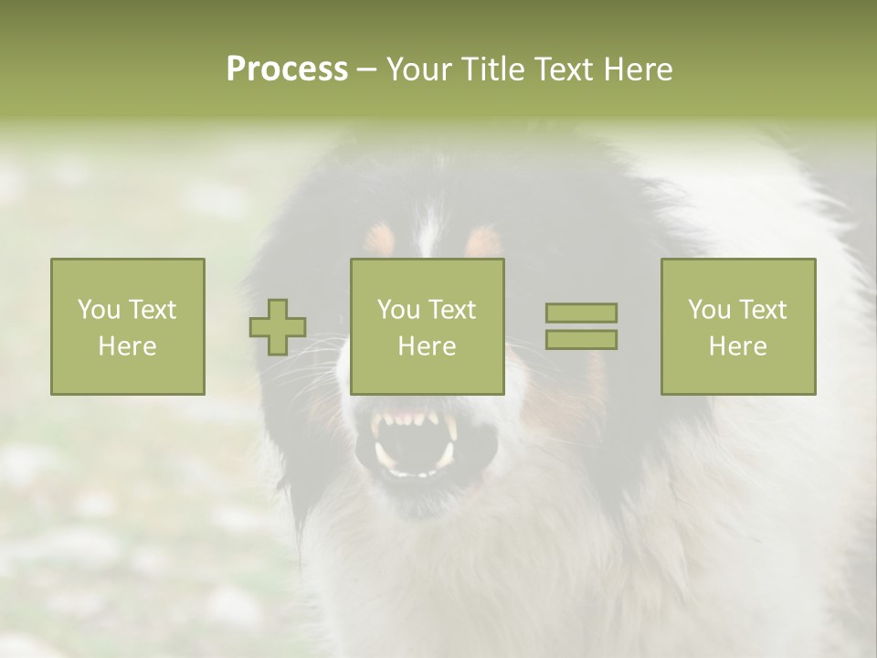 A Black And White Dog With His Mouth Open PowerPoint Template