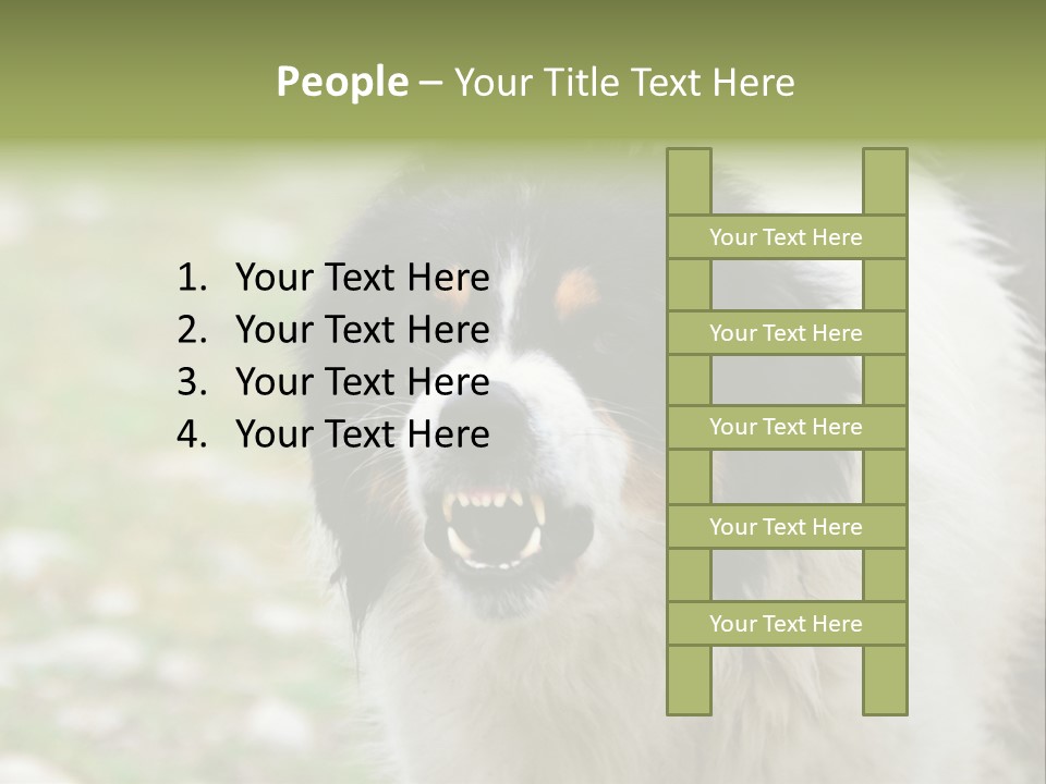 A Black And White Dog With His Mouth Open PowerPoint Template