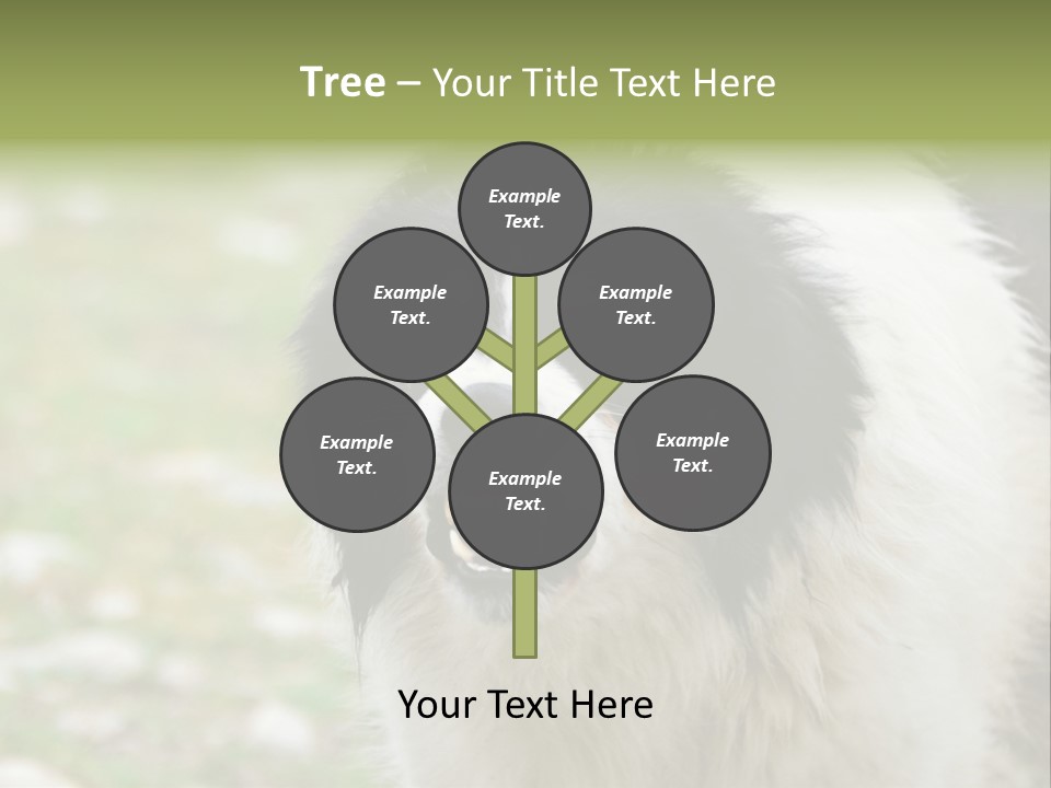 A Black And White Dog With His Mouth Open PowerPoint Template