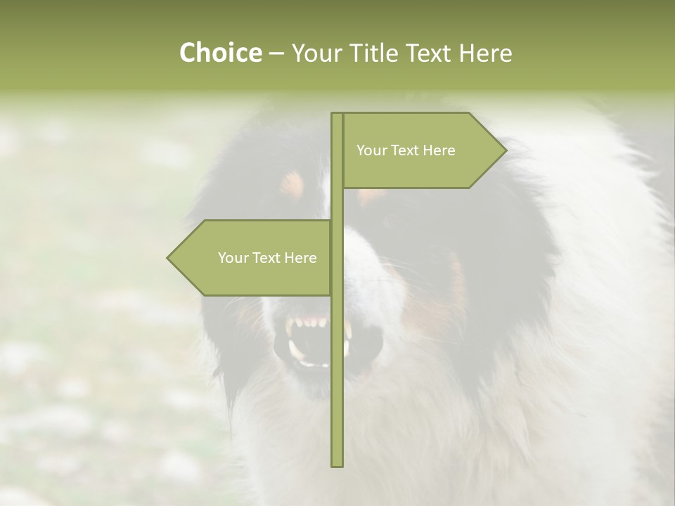 A Black And White Dog With His Mouth Open PowerPoint Template