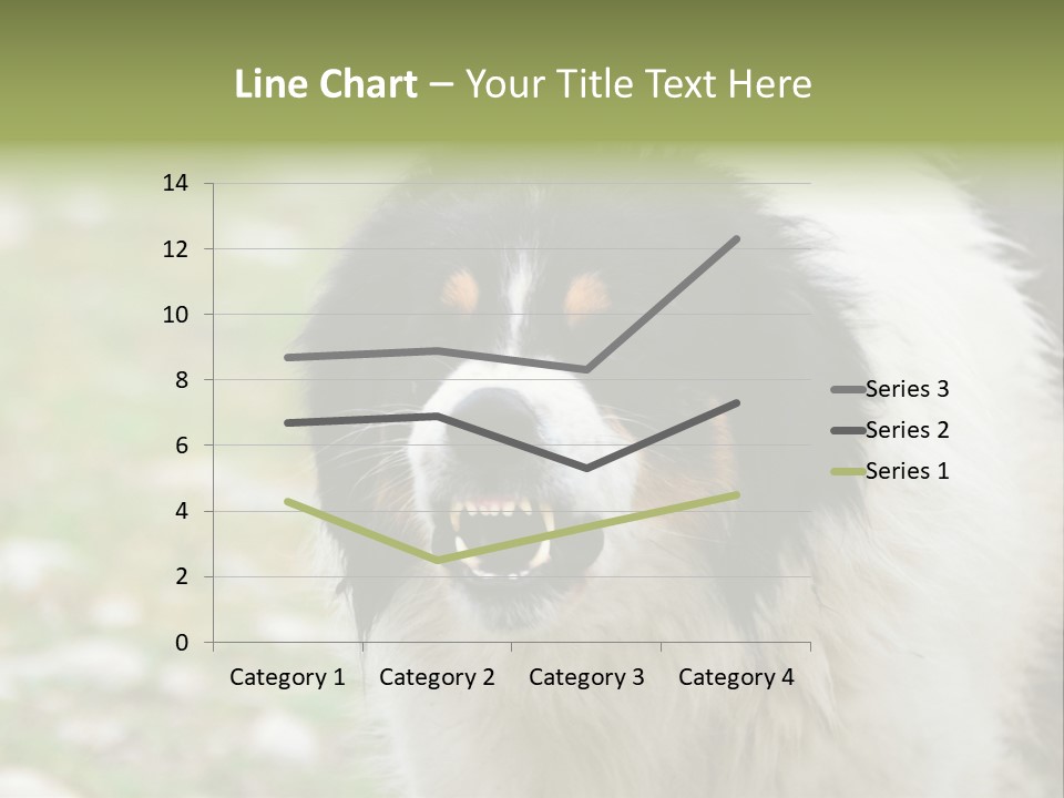 A Black And White Dog With His Mouth Open PowerPoint Template