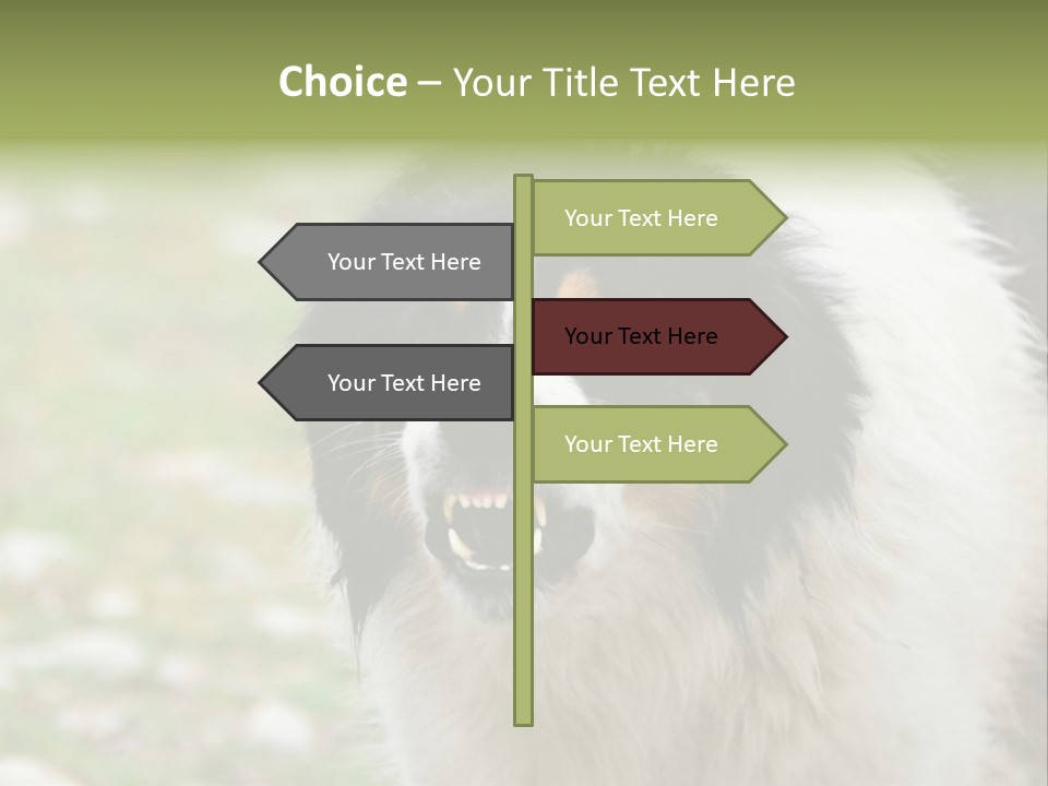 A Black And White Dog With His Mouth Open PowerPoint Template