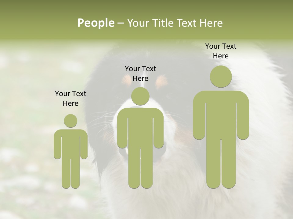 A Black And White Dog With His Mouth Open PowerPoint Template