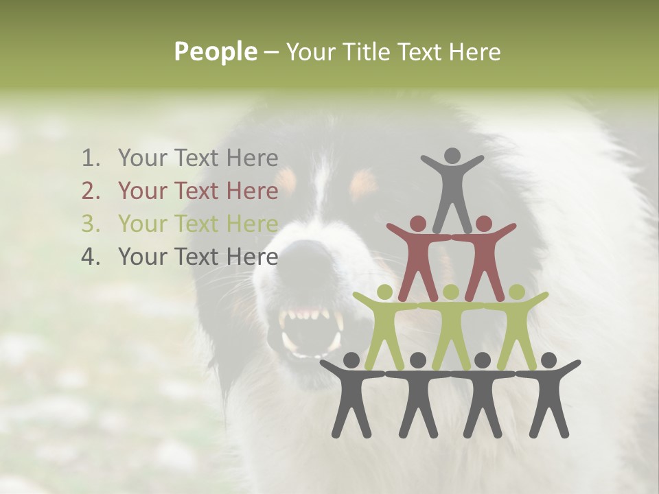 A Black And White Dog With His Mouth Open PowerPoint Template