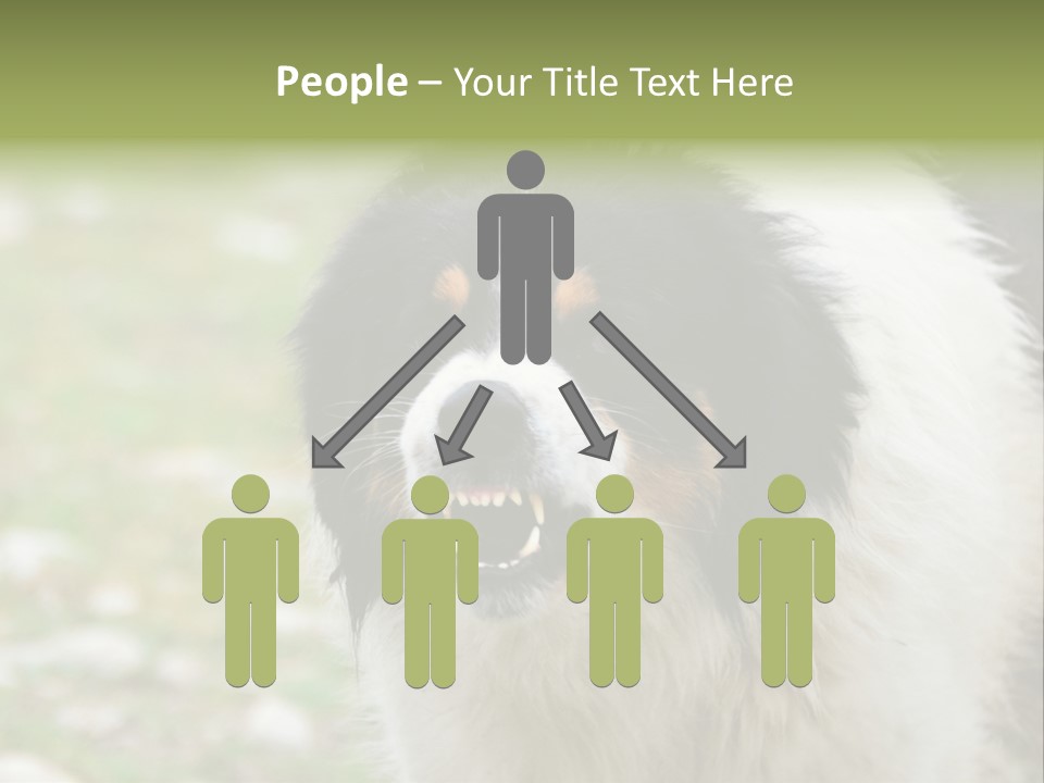 A Black And White Dog With His Mouth Open PowerPoint Template
