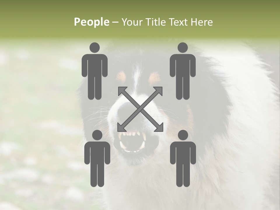A Black And White Dog With His Mouth Open PowerPoint Template