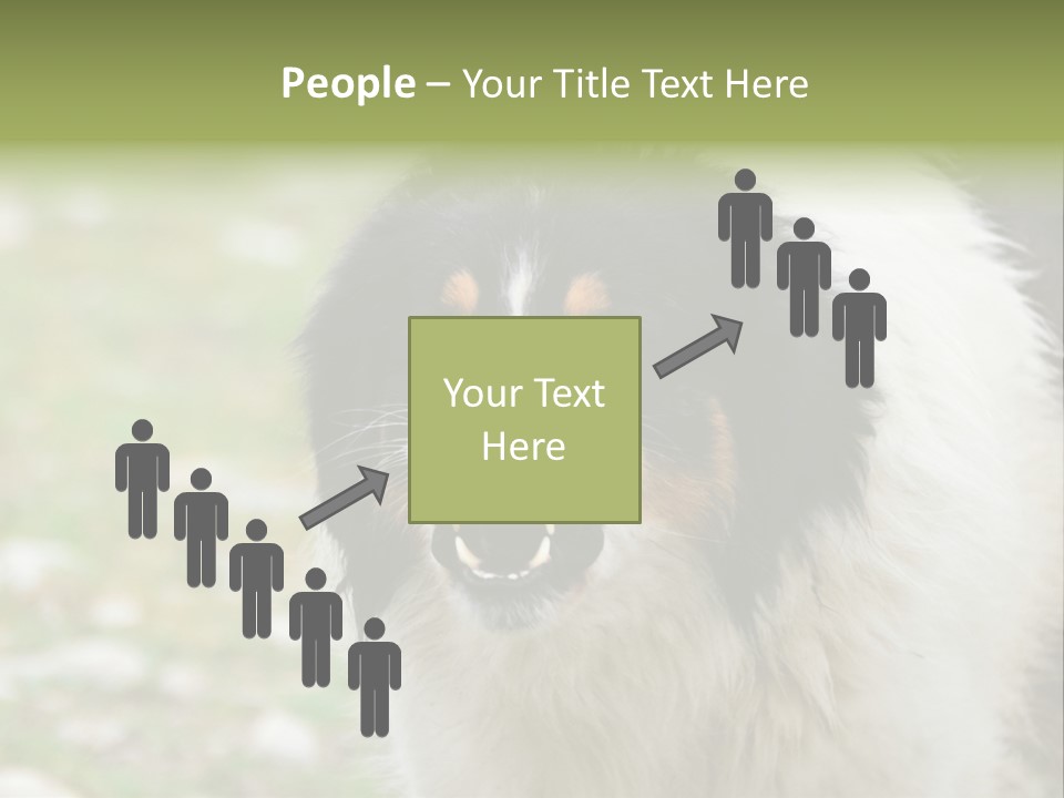 A Black And White Dog With His Mouth Open PowerPoint Template