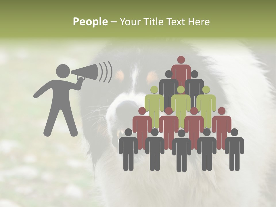 A Black And White Dog With His Mouth Open PowerPoint Template