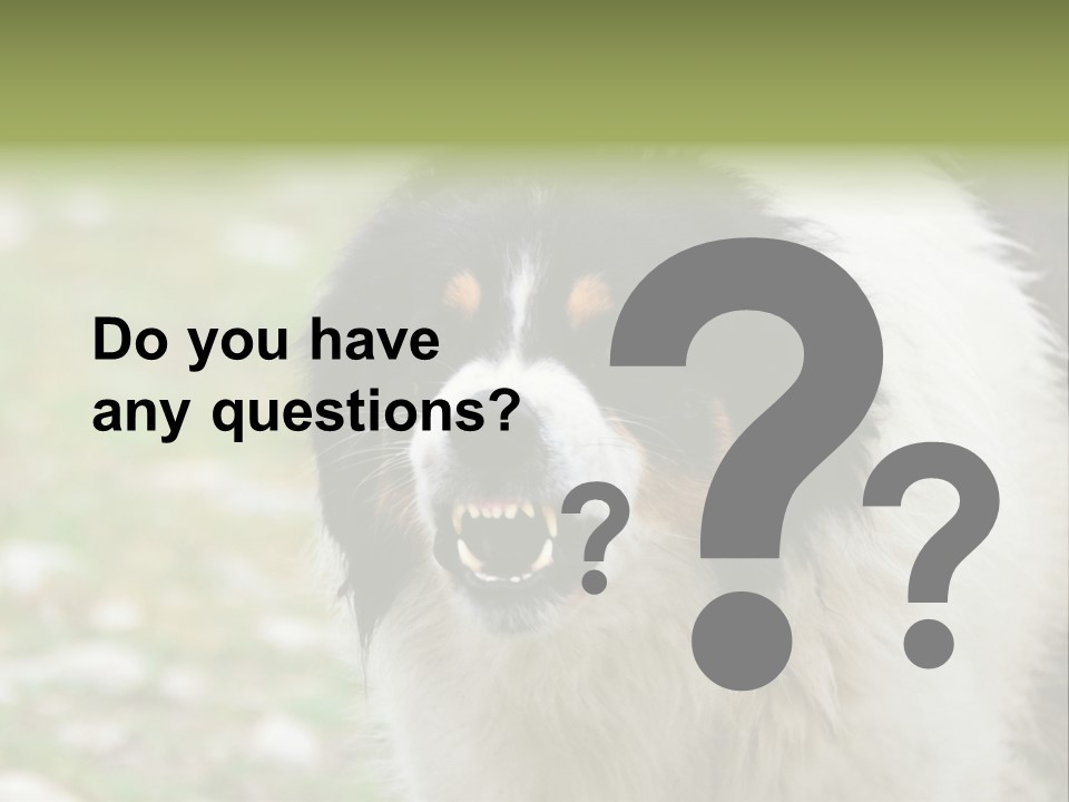 A Black And White Dog With His Mouth Open PowerPoint Template