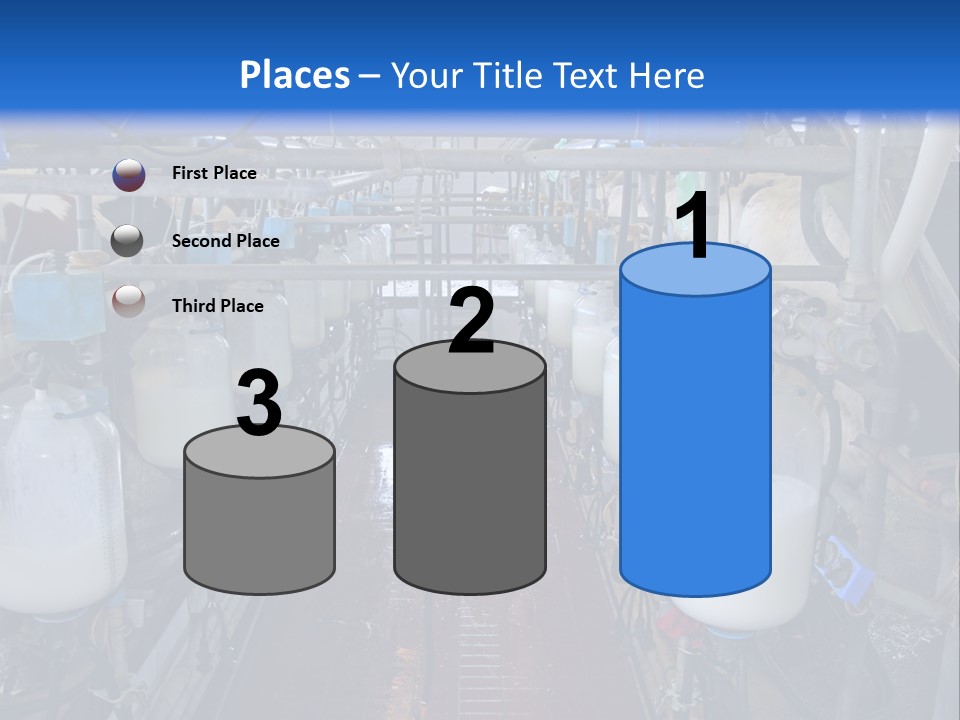 A Dairy Factory With Cows And Milk In Bottles PowerPoint Template