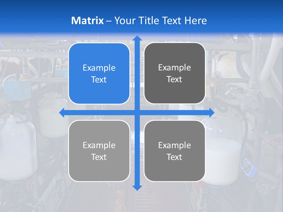A Dairy Factory With Cows And Milk In Bottles PowerPoint Template
