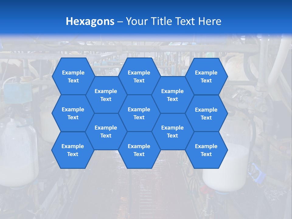 A Dairy Factory With Cows And Milk In Bottles PowerPoint Template