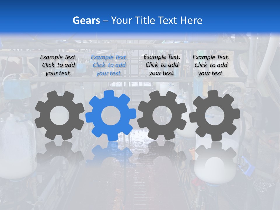 A Dairy Factory With Cows And Milk In Bottles PowerPoint Template