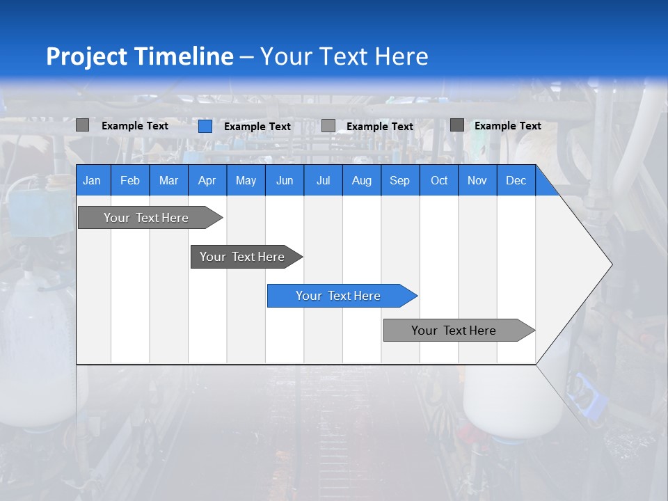 A Dairy Factory With Cows And Milk In Bottles PowerPoint Template