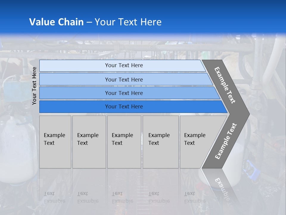 A Dairy Factory With Cows And Milk In Bottles PowerPoint Template