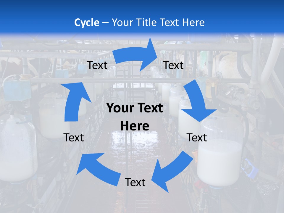 A Dairy Factory With Cows And Milk In Bottles PowerPoint Template