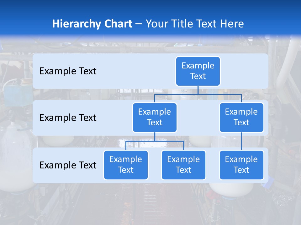 A Dairy Factory With Cows And Milk In Bottles PowerPoint Template