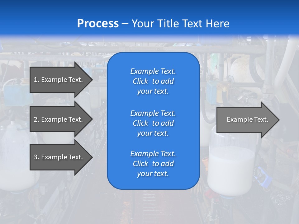 A Dairy Factory With Cows And Milk In Bottles PowerPoint Template