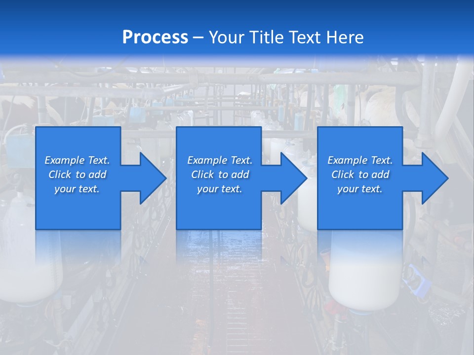 A Dairy Factory With Cows And Milk In Bottles PowerPoint Template