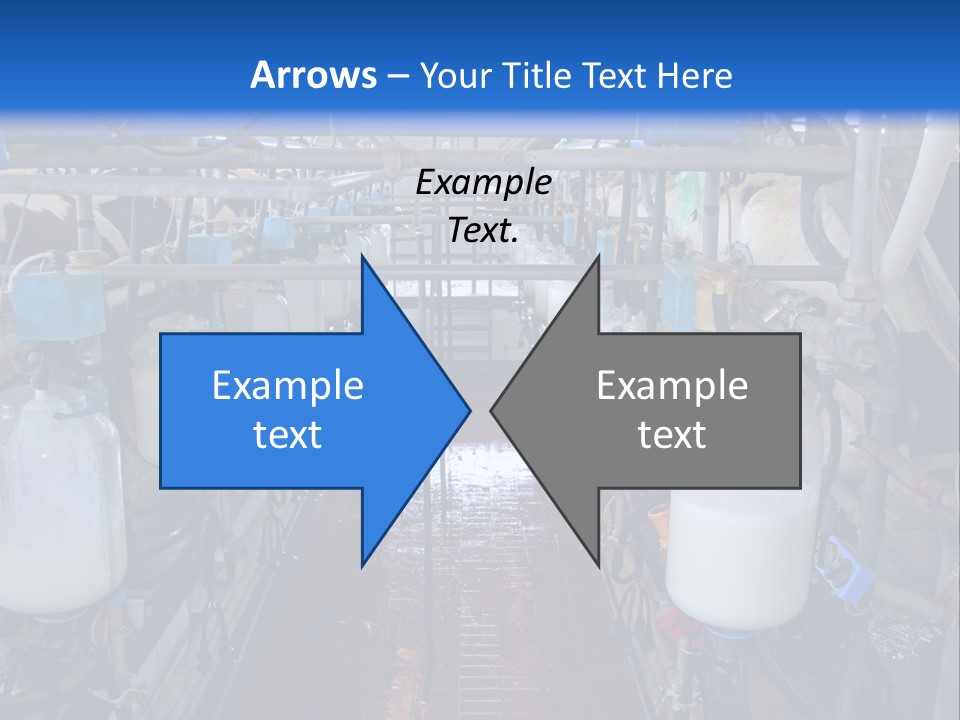 A Dairy Factory With Cows And Milk In Bottles PowerPoint Template