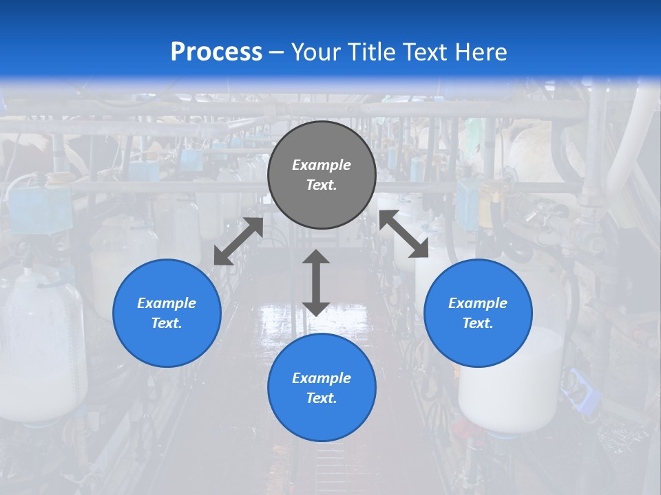 A Dairy Factory With Cows And Milk In Bottles PowerPoint Template