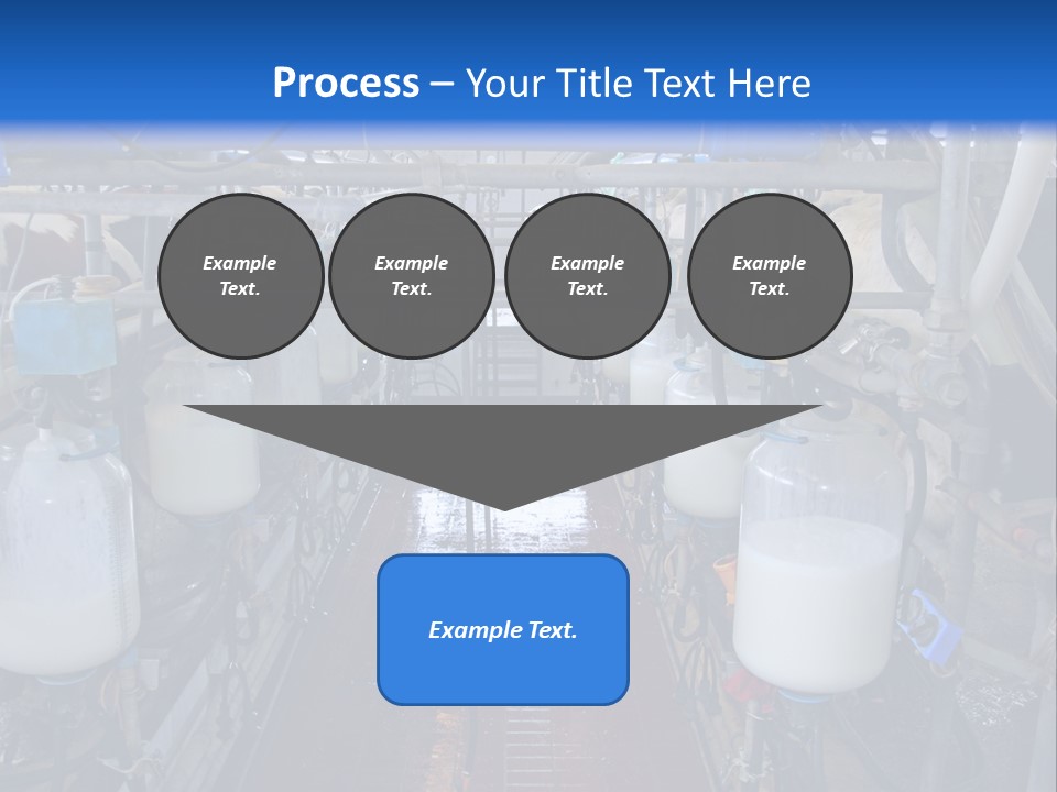 A Dairy Factory With Cows And Milk In Bottles PowerPoint Template