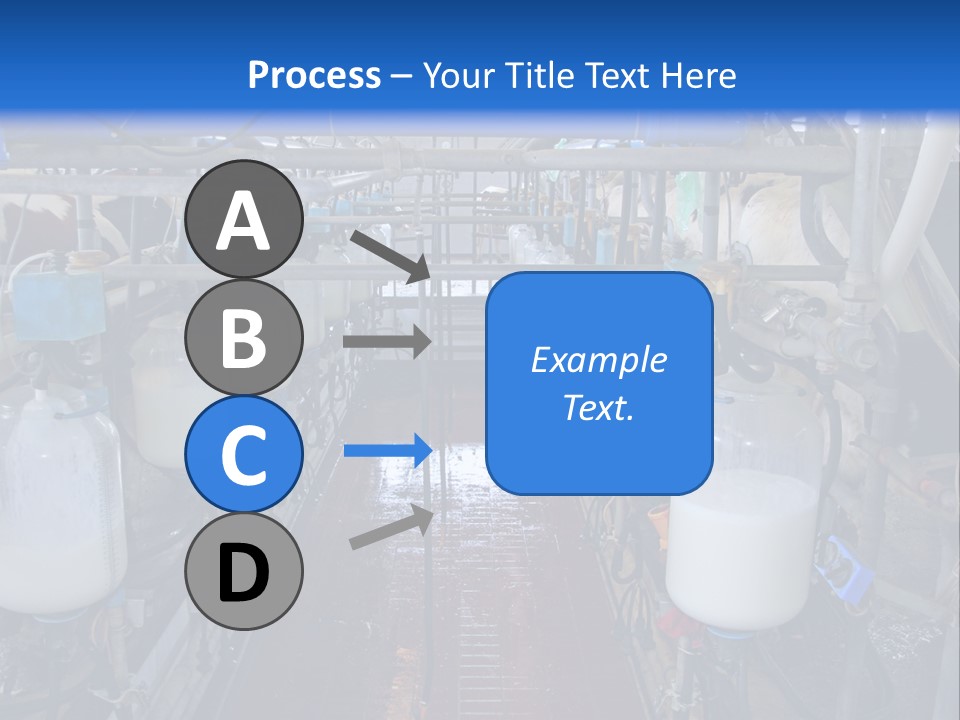 A Dairy Factory With Cows And Milk In Bottles PowerPoint Template