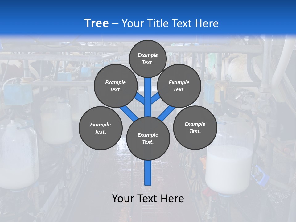 A Dairy Factory With Cows And Milk In Bottles PowerPoint Template