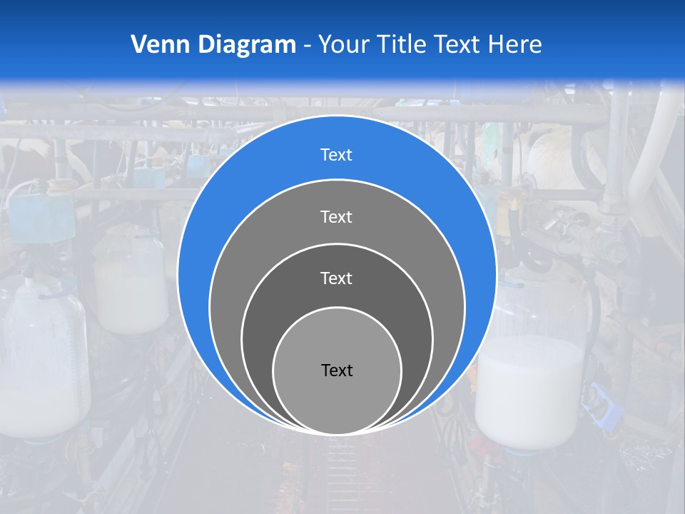 A Dairy Factory With Cows And Milk In Bottles PowerPoint Template