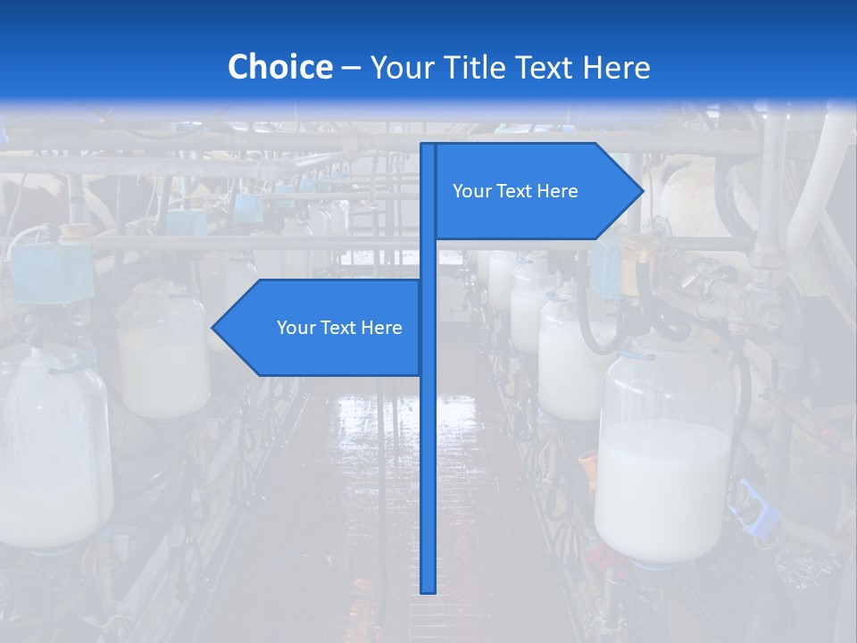 A Dairy Factory With Cows And Milk In Bottles PowerPoint Template