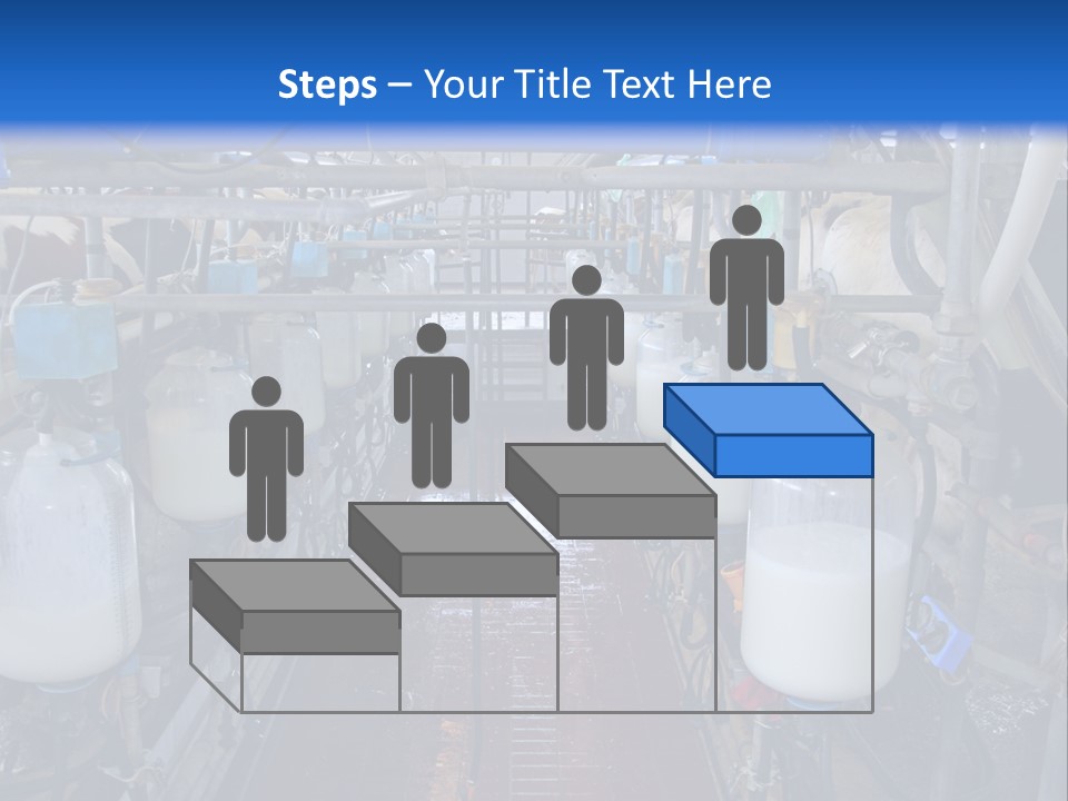 A Dairy Factory With Cows And Milk In Bottles PowerPoint Template