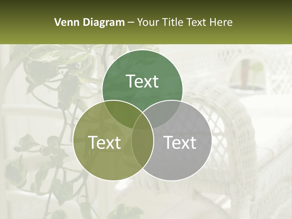 A White Wicker Chair With A Green Plant In Front Of It PowerPoint Template