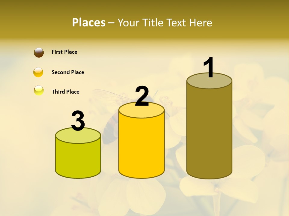 A Bee On A Yellow Flower Powerpoint Template PowerPoint Template
