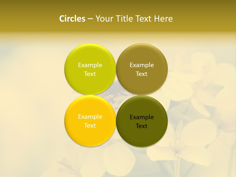 A Bee On A Yellow Flower Powerpoint Template PowerPoint Template