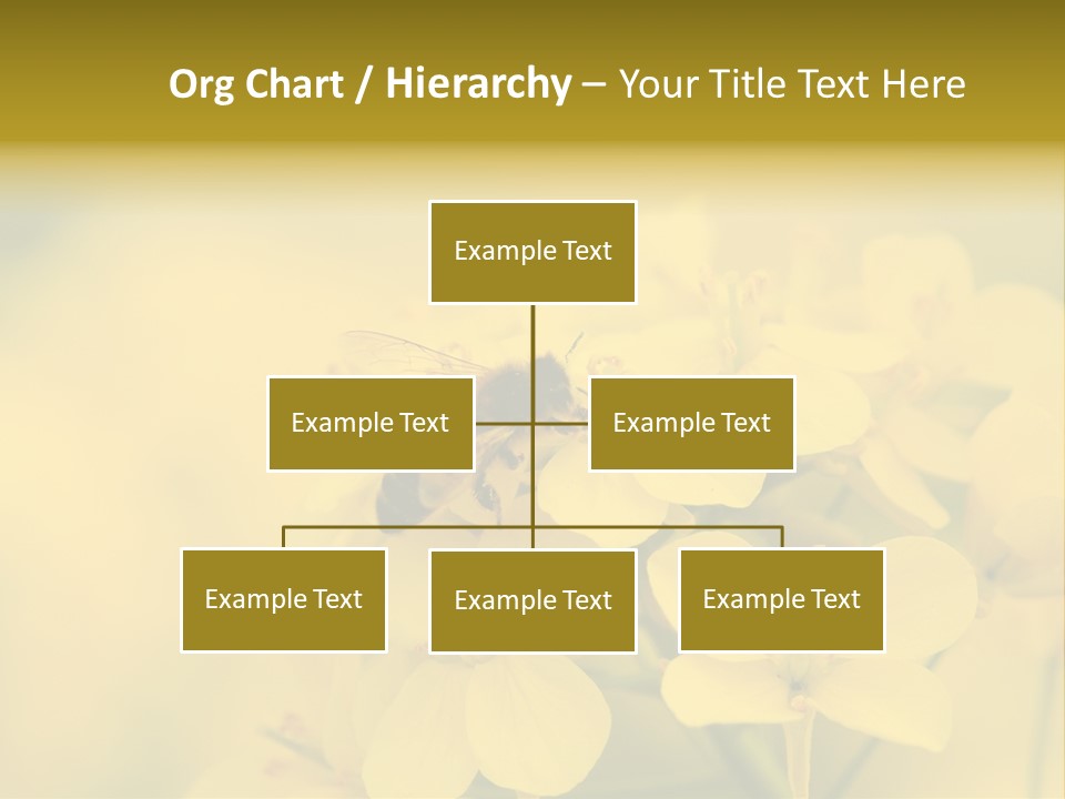 A Bee On A Yellow Flower Powerpoint Template PowerPoint Template